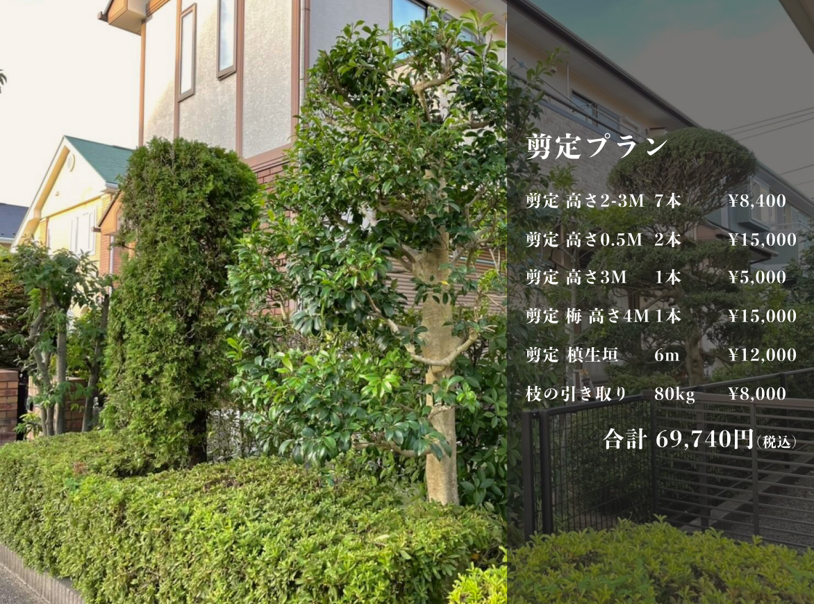 剪定プラン