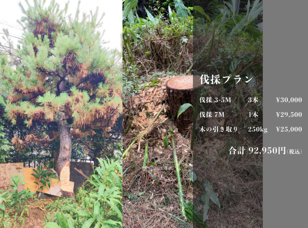 伐採ページ | 職専工なつめのお手軽な剪定・伐採・除草サービス!