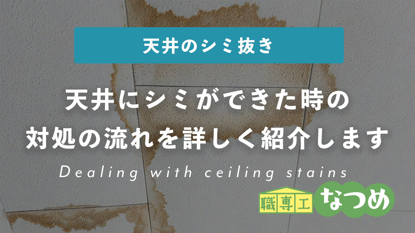 天井にシミができた時の対処の流れを詳しく紹介します
